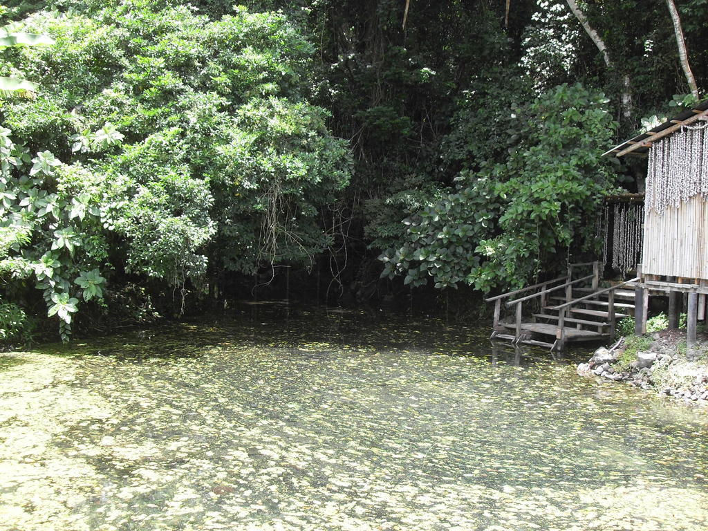 Reserva Ecologica Nanciyaga กาเตมาโก ภายนอก รูปภาพ